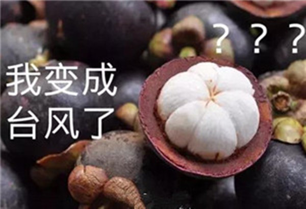 “山竹”還未走遠，但貝朗全自動彎線機已正常上班啦！