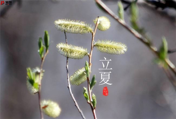 二十四節氣立夏，那些您不知道的習俗